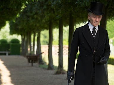 A tall man in long black coat and top hat, walking with a cane through a large stately garden between two lines of trees