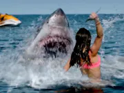 A woman in a body of water, holding up a knife at a shark with its mouth open