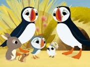 A 2D drawing of a family of birds