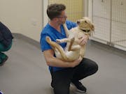 A white male vet in blue scrubs, crouched down, holds a dog like a baby