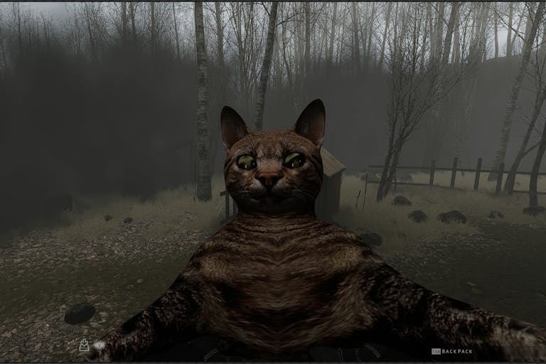 Dark and creepy gameplay of a dark striped cat close up to the camera in a gloomy woods