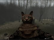 Dark and creepy gameplay of a dark striped cat close up to the camera in a gloomy woods