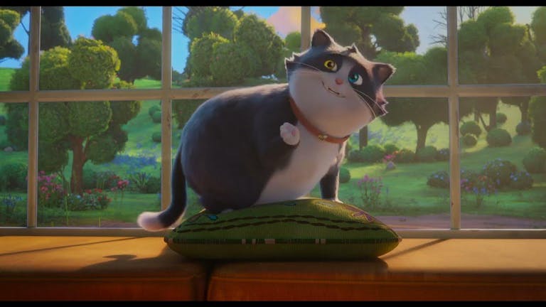 Animation of a dark grey and white round, plump cat on a green cushion on a windowsill