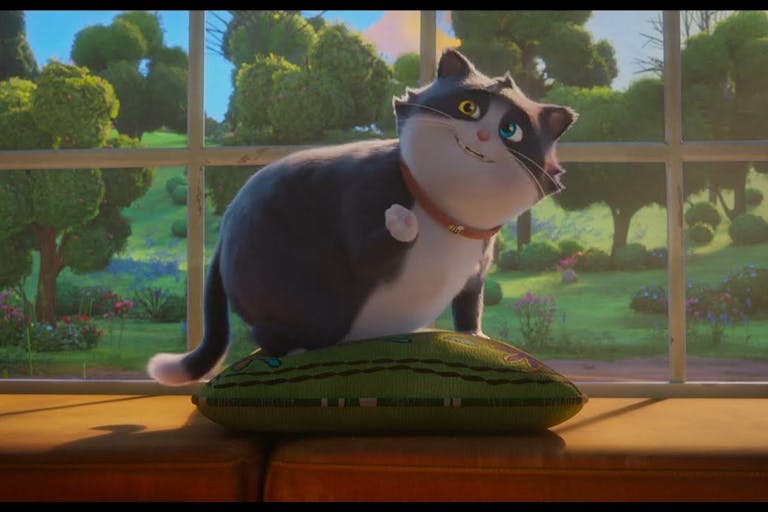 Animation of a dark grey and white round, plump cat on a green cushion on a windowsill