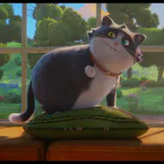 Animation of a dark grey and white round, plump cat on a green cushion on a windowsill