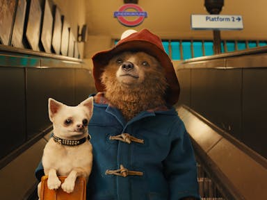 Live action with a CGI brown bear in a blue duffle coat and red hat holding a white dog coming down the escalators in Paddington station