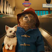 Live action with a CGI brown bear in a blue duffle coat and red hat holding a white dog coming down the escalators in Paddington station