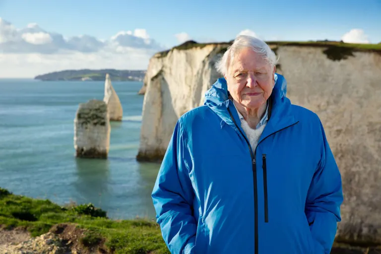 An old white haired man in a blue raincoat standing on the edge of a picturesque cliff with a view of the ocean