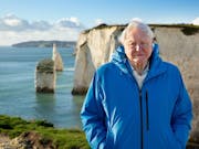 An old white haired man in a blue raincoat standing on the edge of a picturesque cliff with a view of the ocean