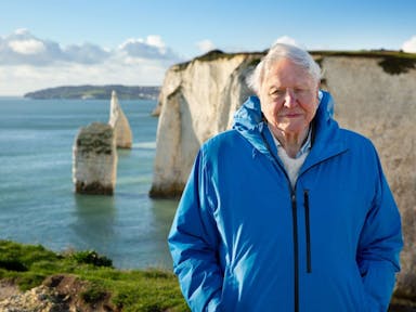 An old white haired man in a blue raincoat standing on the edge of a picturesque cliff with a view of the ocean