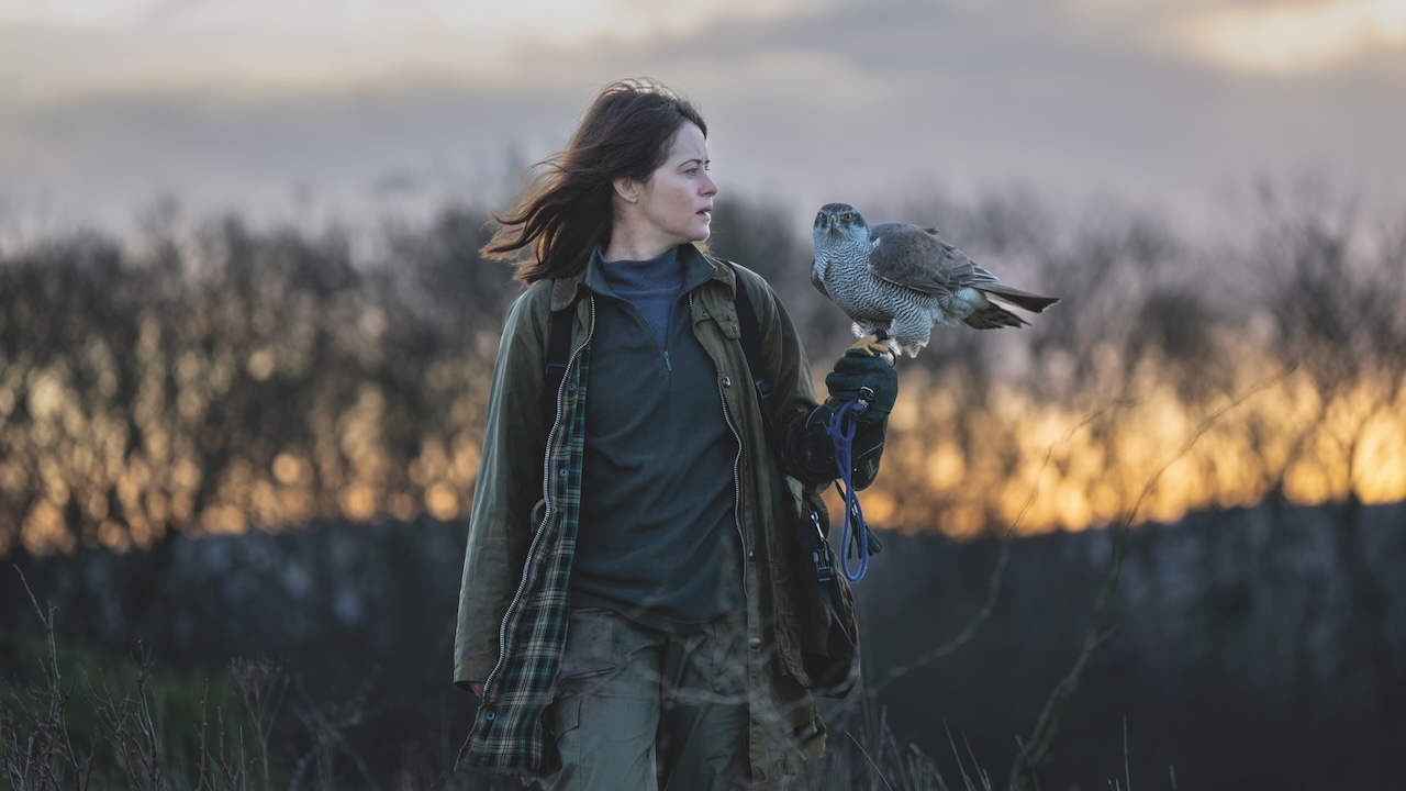 A white woman in a cold field at dusk looking at a hawk as it's perched on her arm