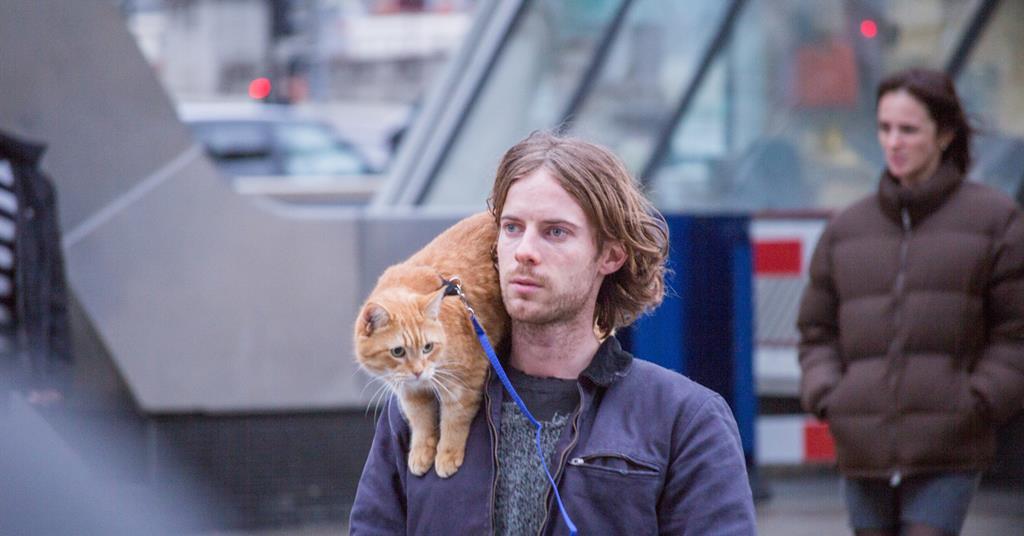 A white man walks with an orange cat perfected on his shoulder.