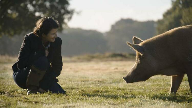 A woman kneels on the ground next to a pig in the grass.