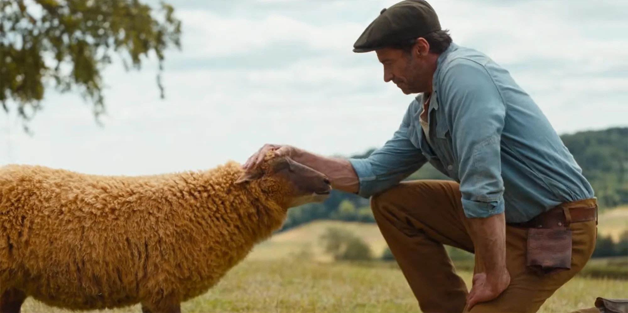 A caucasian male Shephard petting a brown-haired sheep on a grassy plane