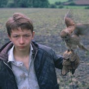 A young white boy with a flapping kestrel on his hand standing in a muddy field