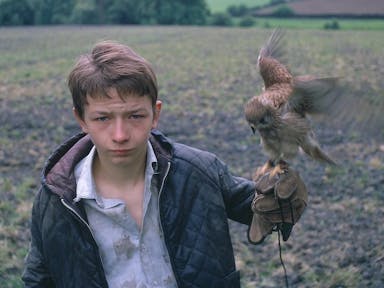 A young white boy with a flapping kestrel on his hand standing in a muddy field 