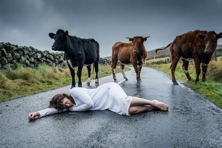 A white woman in a white night dress laying slumped on the wet tarmac road of a country lane with three cows looming close behind
