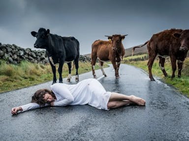 A white woman in a white night dress laying slumped on the wet tarmac road of a country lane with three cows looming close behind