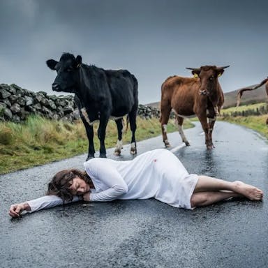 A white woman in a white night dress laying slumped on the wet tarmac road of a country lane with three cows looming close behind