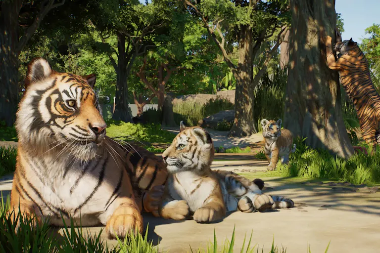 A number of tigers (some sitting, one walking, one trying to climb a tree) in the jungle