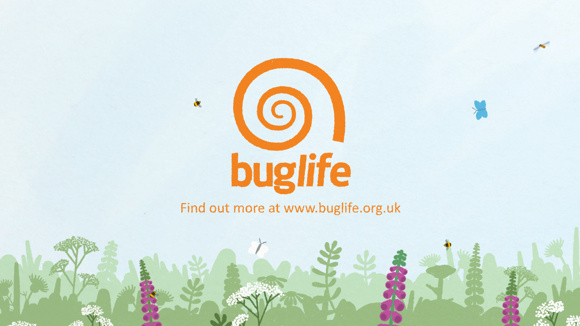 Buglife: B-Lines Campaign | Scribble Room Animation