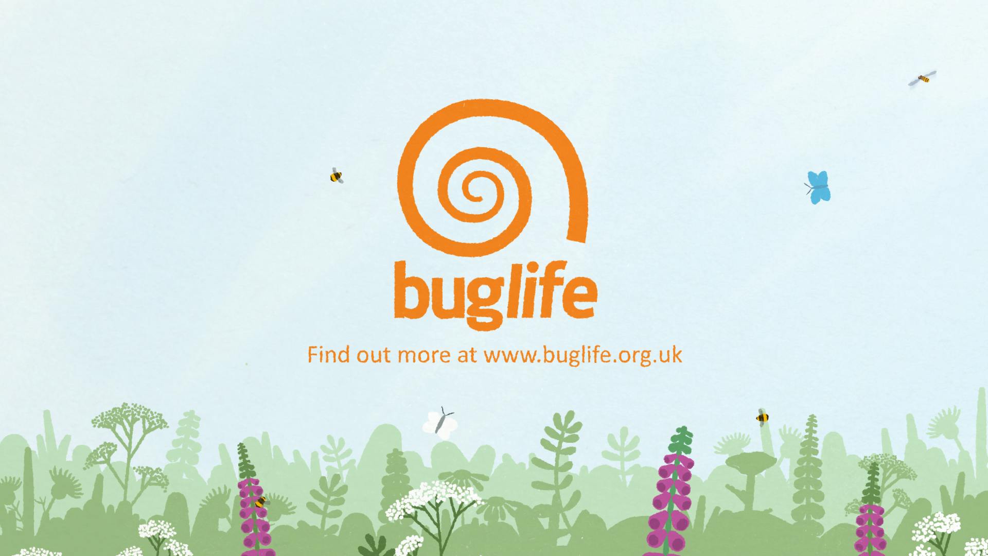 Buglife campaign