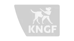 Logo KNGF