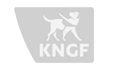 Logo KNGF