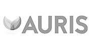 logo Auris
