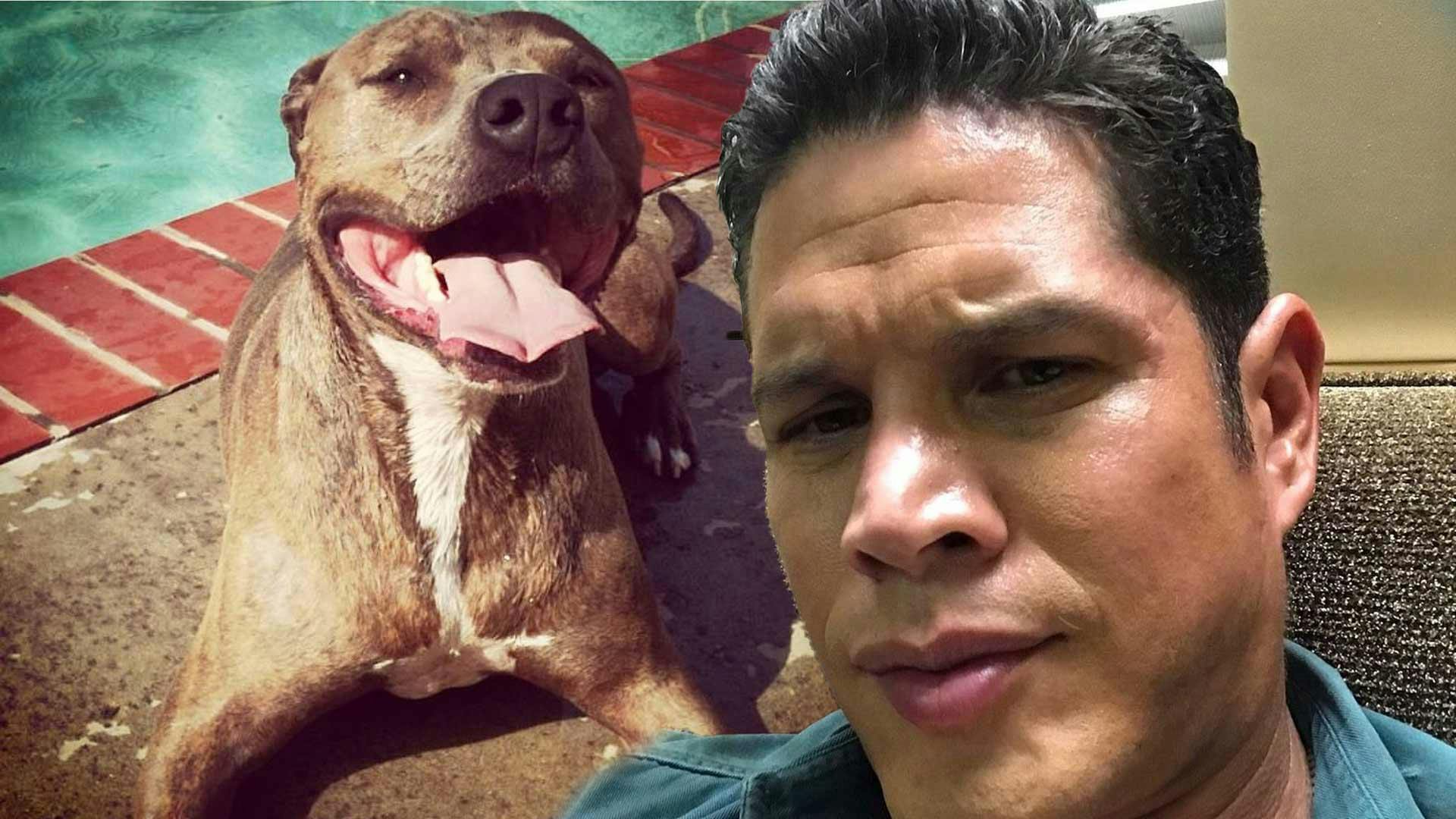 ‘Mayans’ Star JD Pardo Mourns Loss Of Pitbull; Co-Stars Send Love