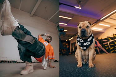 A photo shows a scene inside OFFSTAGE Club Sportif. On the left, a person performs a floor dance movement seen from below, wearing sporty clothing and white shoes. On the right, a dog sits on the gym floor wearing a black bandana with the repeated text « OFFSTAGE ». The space is lit by ceiling lights, with training equipment visible in the background.