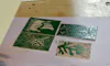 Atelier linogravure