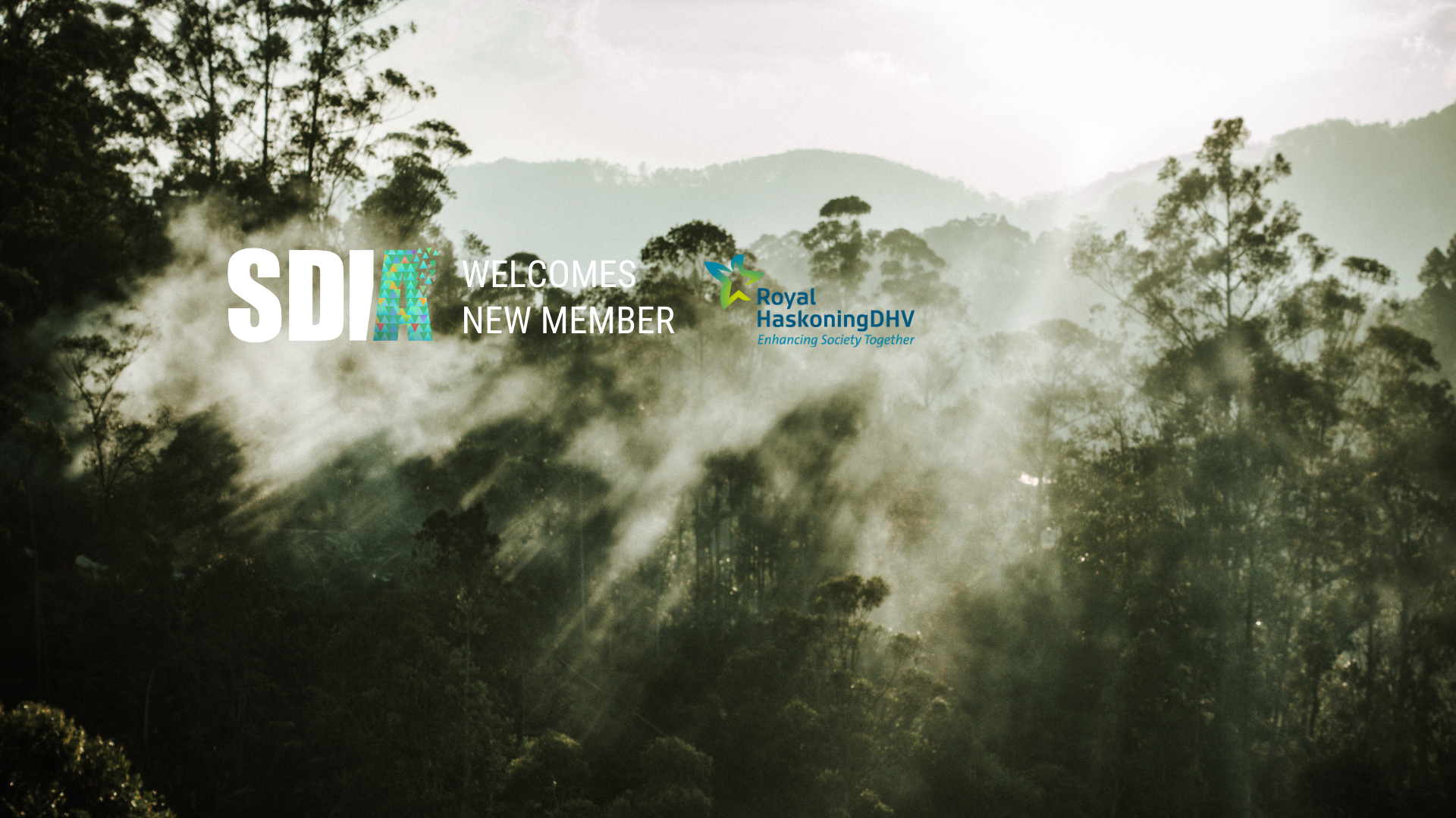 Royal HaskoningDHV becomes SDIA’s latest member