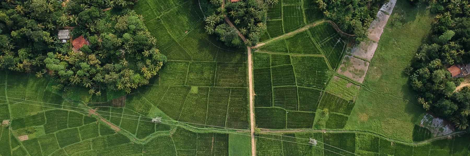 The Roadmap to Sustainable Digital Infrastructure: How to Get Involved