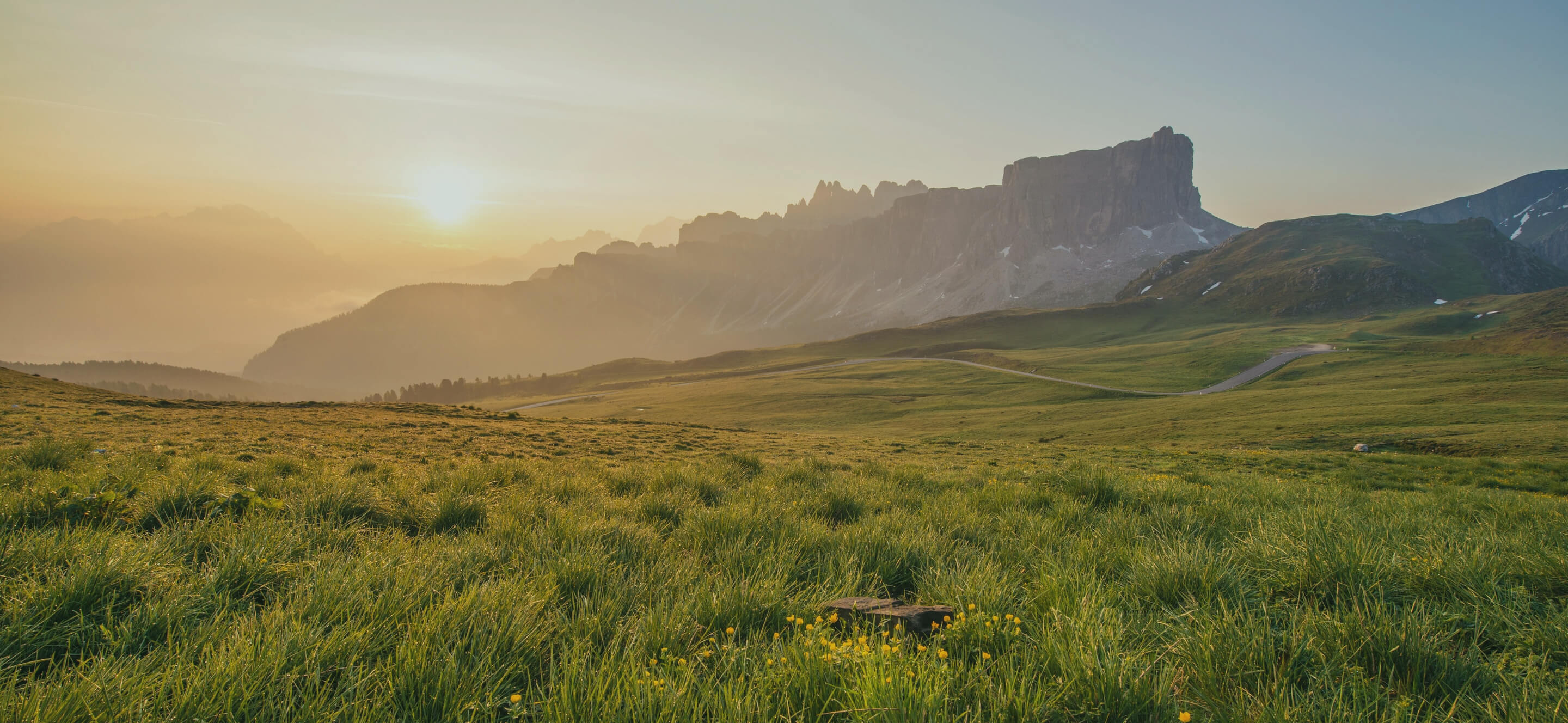 Articles, press releases, opinions, and news updates from the Alliance