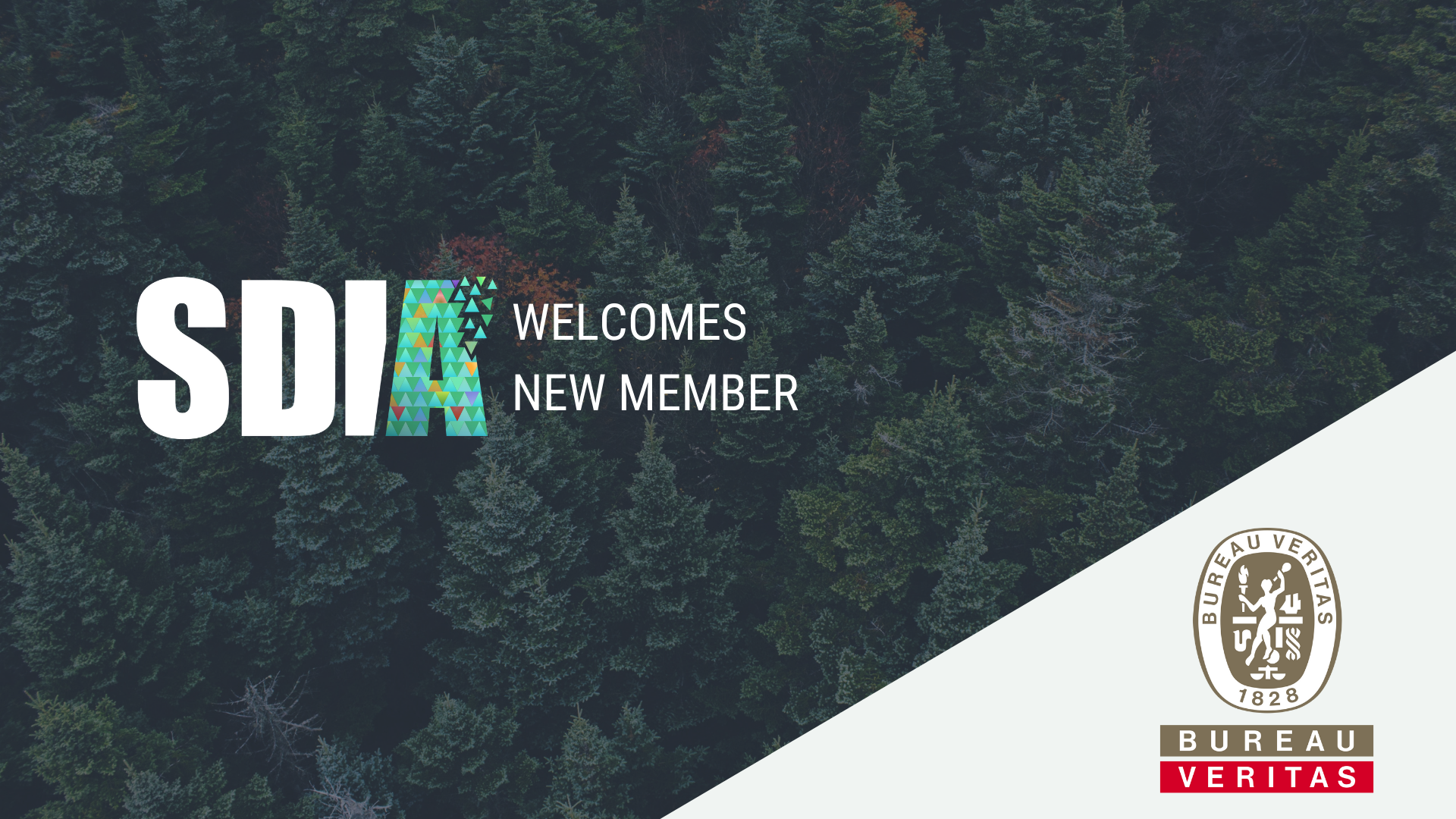 Bureau Veritas Denmark joins SDIA’s vibrant community