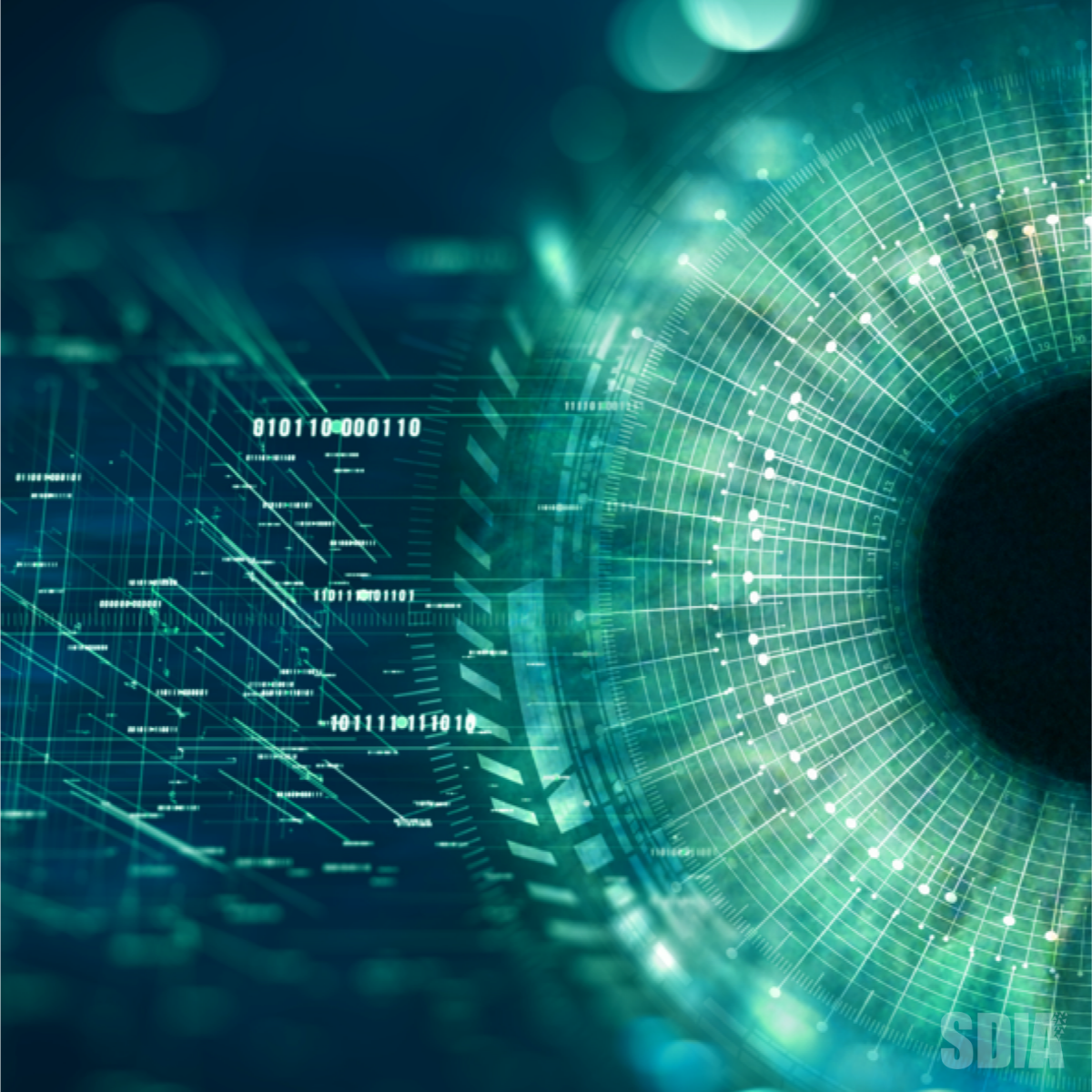 Creating the first Digital Industry Census on Sustainability