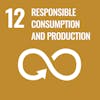 Responsible Consumption and Production (12)