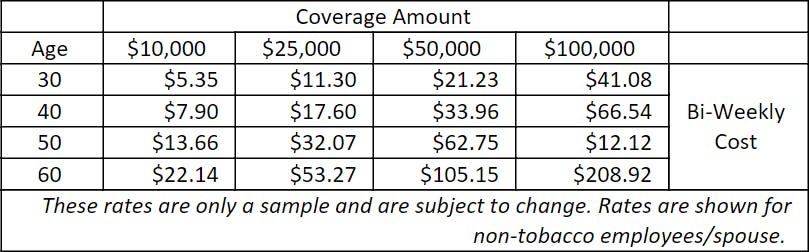 Aflac Life Insurance Coverage Sample