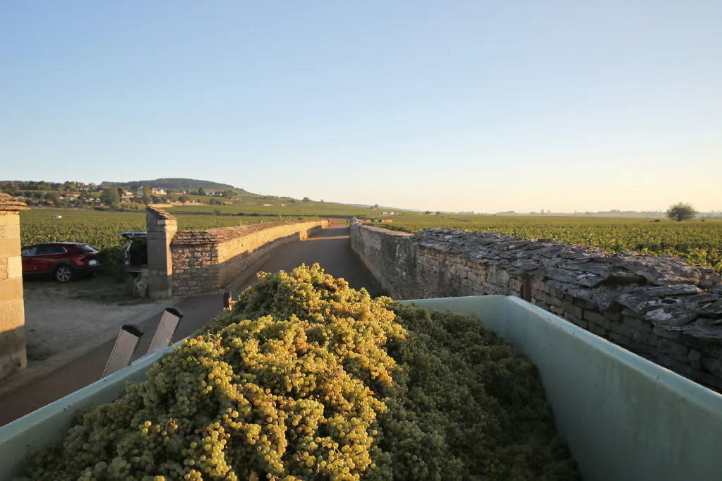 Domaine Michel Caillot
