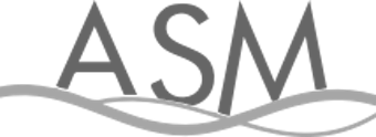ASM logotype
