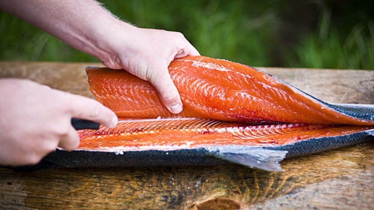 How to Fillet Fresh Fish: A Step-By-Step Guide