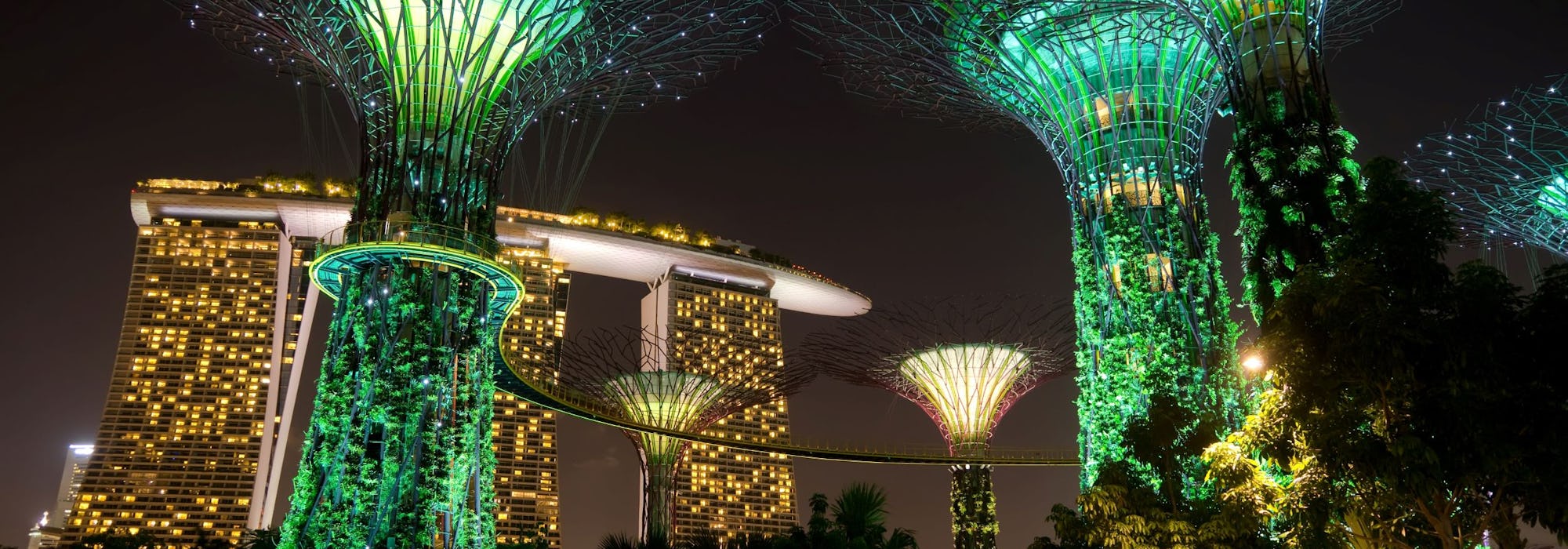 Singapore Cruise Deals 2025 & 2025 Seascanner.co.uk