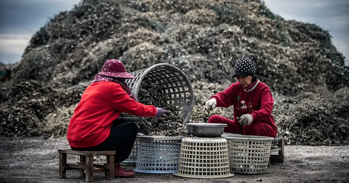 explores how Creative Tech Textile integrates patented innovation