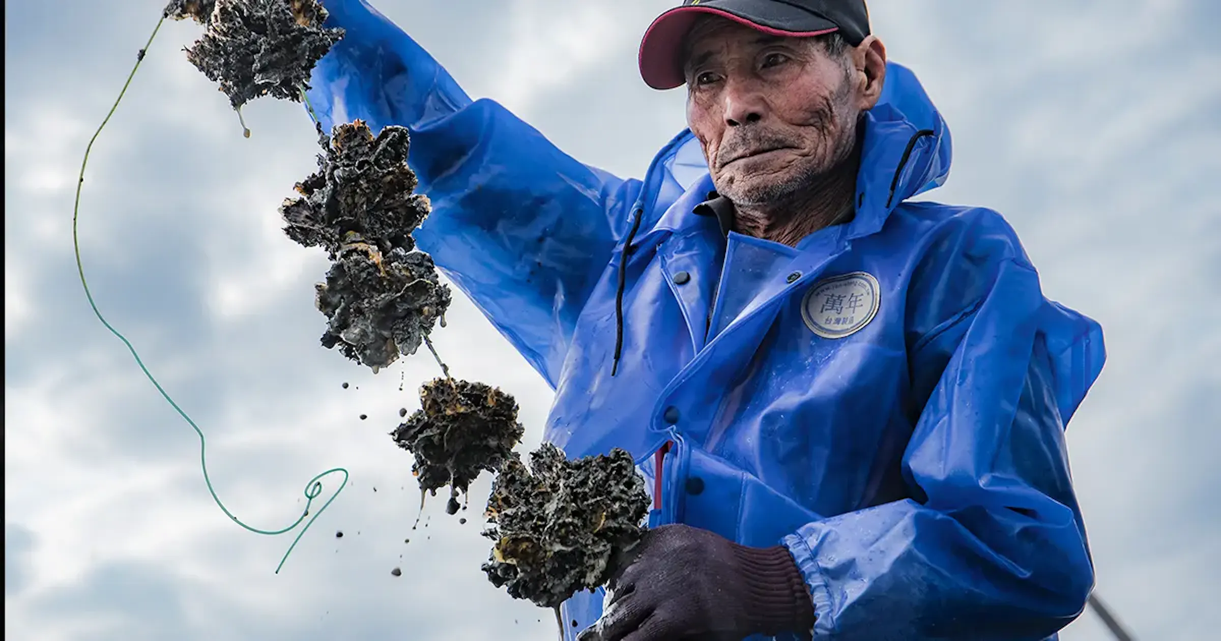 Circular Textile Innovation