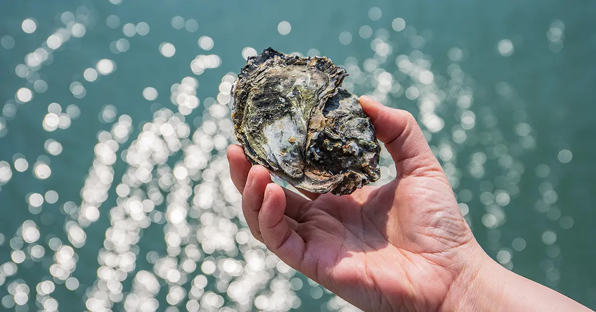 Creative Tech Textile Awarded Silver at PwC Taiwan Sustainability Impact Awards 2025