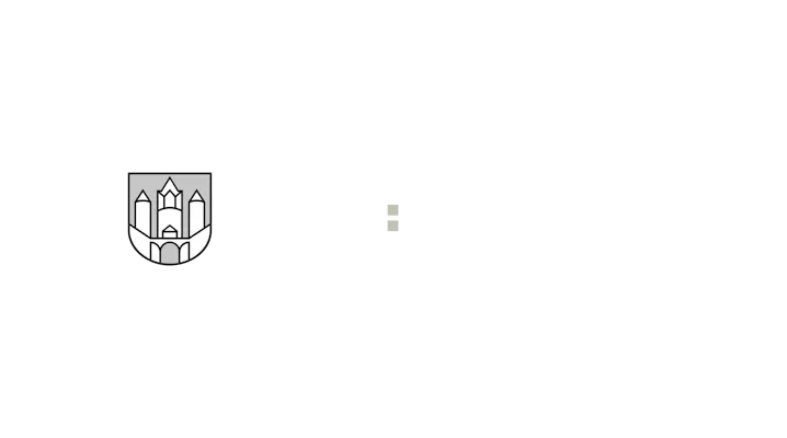 Stadt Salzburg