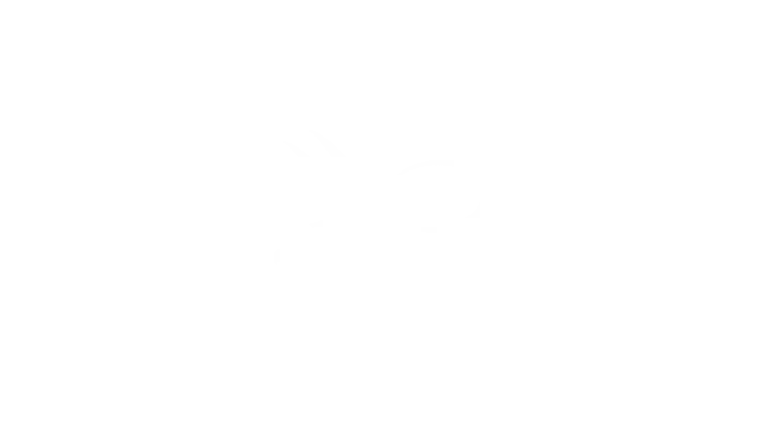 cargo-partner