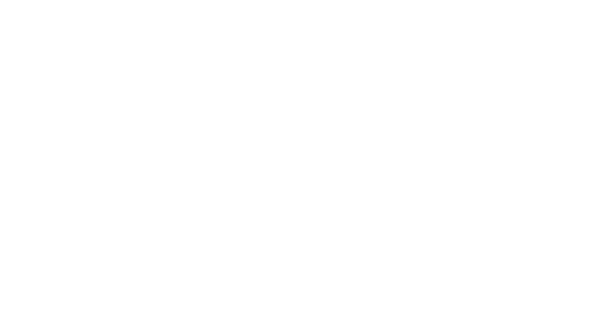 cargo-partner