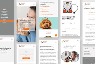 Assisi Mobile App Design Rending Image